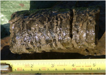 Segregated Ice Borehole: F.W. Smith Tabular Ice
